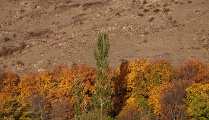 طبیعت پاییزی منطقه ارسباران
