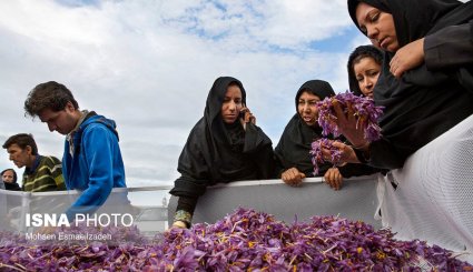 شهر زعفران + تصاویر