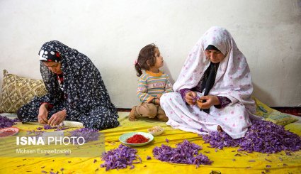 شهر زعفران + تصاویر