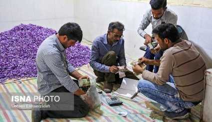 شهر زعفران + تصاویر