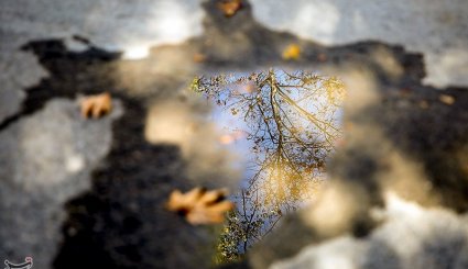 پاییز در مشهد