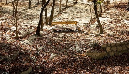 پاییز در مشهد