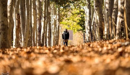 پاییز در مشهد