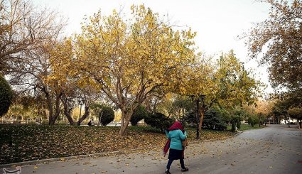 پاییز در مشهد