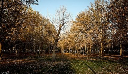 پاییز در مشهد