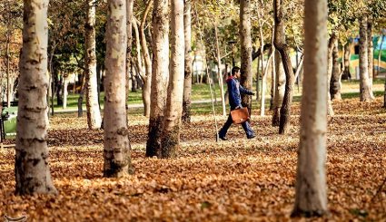 پاییز در مشهد