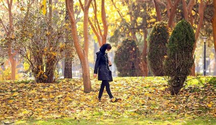 پاییز در مشهد