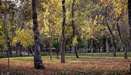 پاییز در مشهد