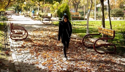 پاییز در مشهد