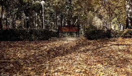 پاییز در مشهد