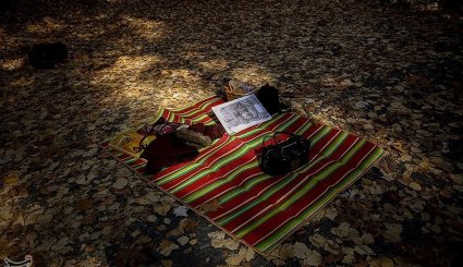 پاییز در مشهد