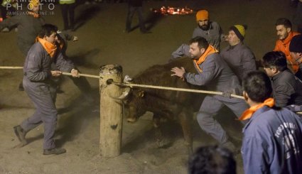 جشنواره آتش گاو در اسپانیا