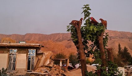 مناطق زلزله زده غرب کشور + تصاویر