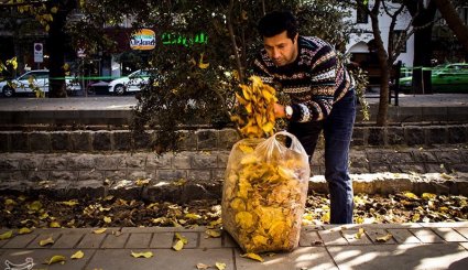 پاییز در تهران + تصاویر