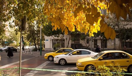 پاییز در تهران + تصاویر