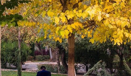 پاییز در تهران + تصاویر