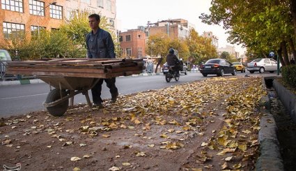 پاییز در تهران + تصاویر
