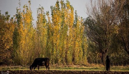 پاییز در شهرستان الشتر - لرستان