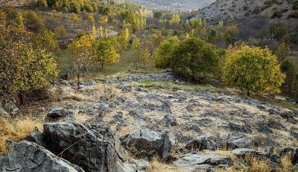 پاییز در شهرستان الشتر - لرستان