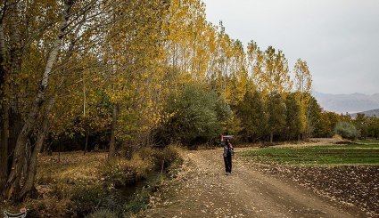 پاییز در شهرستان الشتر - لرستان