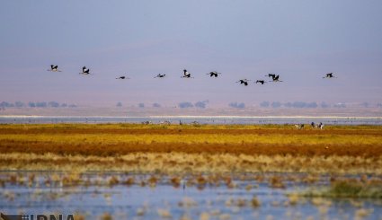 تالاب میقان