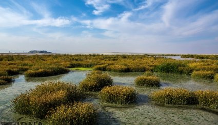تالاب میقان