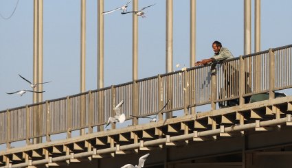 ورود نخستین گروه از پرندگان مهاجر به ساحل کارون در اهواز