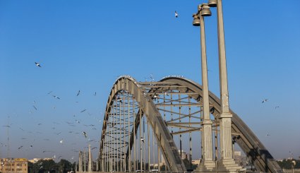 ورود نخستین گروه از پرندگان مهاجر به ساحل کارون در اهواز