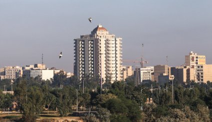 ورود نخستین گروه از پرندگان مهاجر به ساحل کارون در اهواز