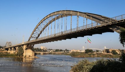 ورود نخستین گروه از پرندگان مهاجر به ساحل کارون در اهواز