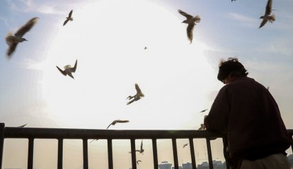 ورود نخستین گروه از پرندگان مهاجر به ساحل کارون در اهواز