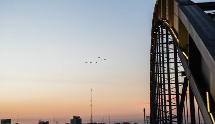 ورود نخستین گروه از پرندگان مهاجر به ساحل کارون در اهواز