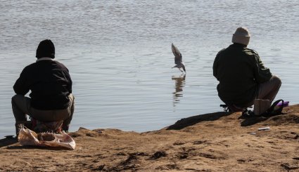 ورود نخستین گروه از پرندگان مهاجر به ساحل کارون در اهواز