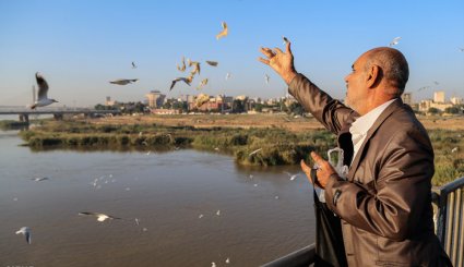 ورود نخستین گروه از پرندگان مهاجر به ساحل کارون در اهواز