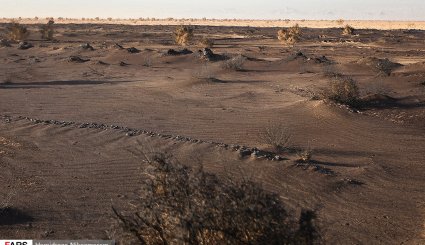 آغاز بیابان‌زدایی در شرق اصفهان