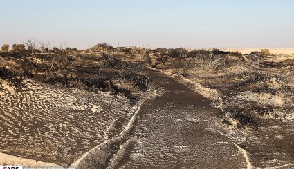 آغاز بیابان‌زدایی در شرق اصفهان