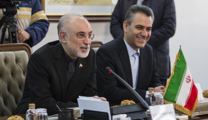 دیدار وزیر خارجه انگلیس با رییس سازمان انرژی اتمی
