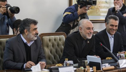 دیدار وزیر خارجه انگلیس با رییس سازمان انرژی اتمی
