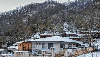 طبیعت برفی ماسوله