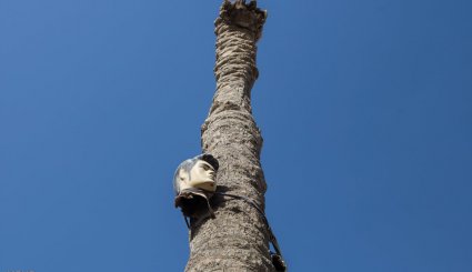 محرومستان