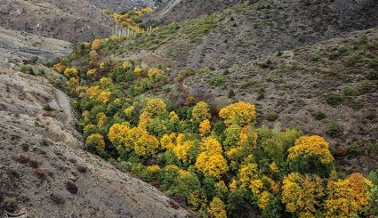 طبیعت پاییزی جنگلهای ارسباران- آذربایجان شرقی