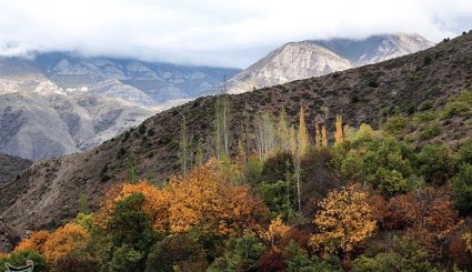 طبیعت پاییزی جنگلهای ارسباران- آذربایجان شرقی