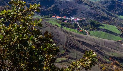 طبیعت پاییزی جنگلهای ارسباران- آذربایجان شرقی