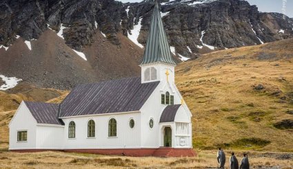  برگزیدگان مسابقه عکاسی 