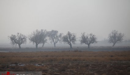 تبریز غرق در آلودگی