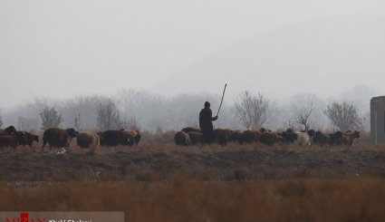 تبریز غرق در آلودگی