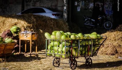 خرید شب یلدا در تهران