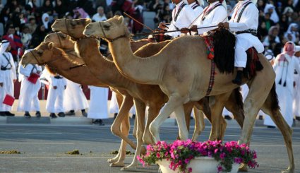 جای خالی عربستان در جشن ملی قطر