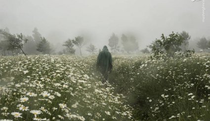  برگزیدگان مسابقه عکاسی 