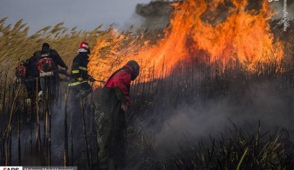 مهار آتش‌سوزی تالاب میقان